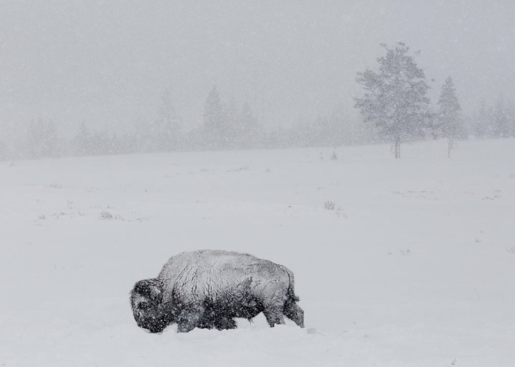 Wyoming